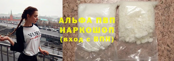 сатива Беломорск