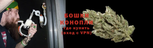 ГАЛЛЮЦИНОГЕННЫЕ ГРИБЫ Баксан