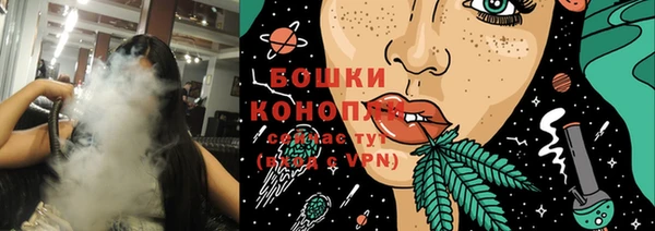 ГАЛЛЮЦИНОГЕННЫЕ ГРИБЫ Баксан
