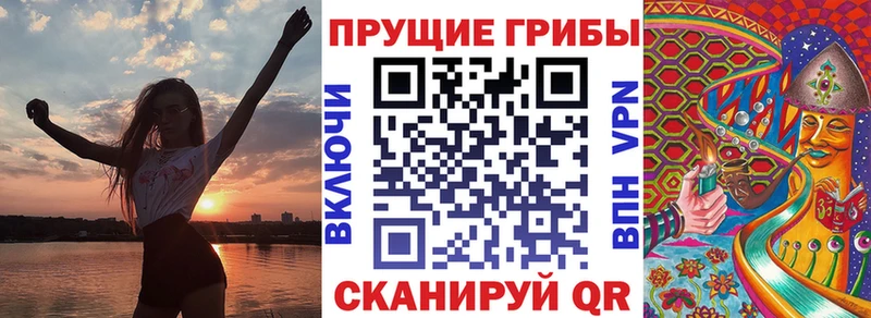 дарнет шоп  Лахденпохья  Галлюциногенные грибы Psilocybe 